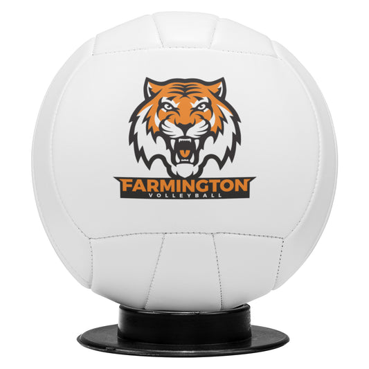 Farmington Tigers: Mini Volleyball